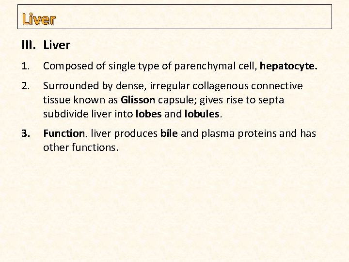 Liver III. Liver 1. Composed of single type of parenchymal cell, hepatocyte. 2. Surrounded