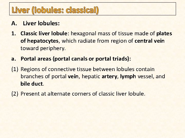 Liver (lobules: classical) A. Liver lobules: 1. Classic liver lobule: hexagonal mass of tissue