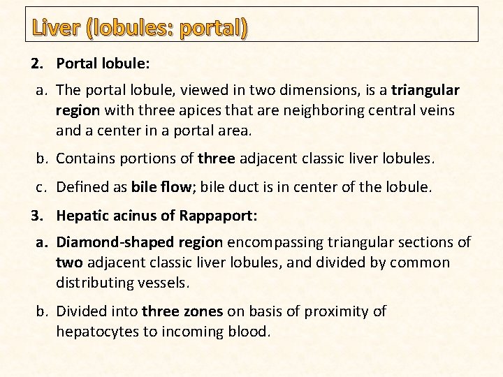 Liver (lobules: portal) 2. Portal lobule: a. The portal lobule, viewed in two dimensions,