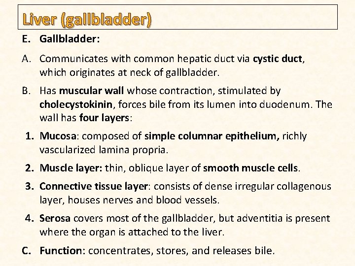 Liver (gallbladder) E. Gallbladder: A. Communicates with common hepatic duct via cystic duct, which