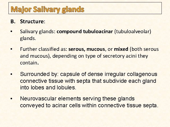 Major Salivary glands B. Structure: • Salivary glands: compound tubuloacinar (tubuloalveolar) glands. • Further