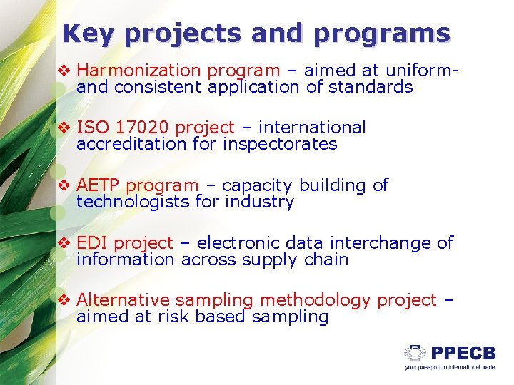 Key projects and programs v Harmonization program – aimed at uniformand consistent application of