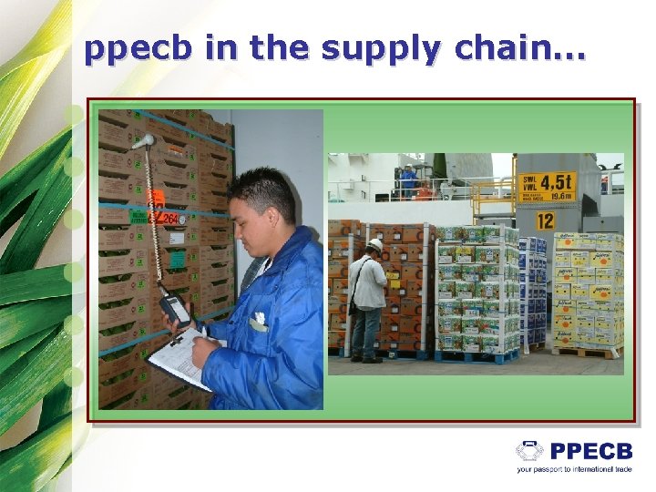 ppecb in the supply chain… 