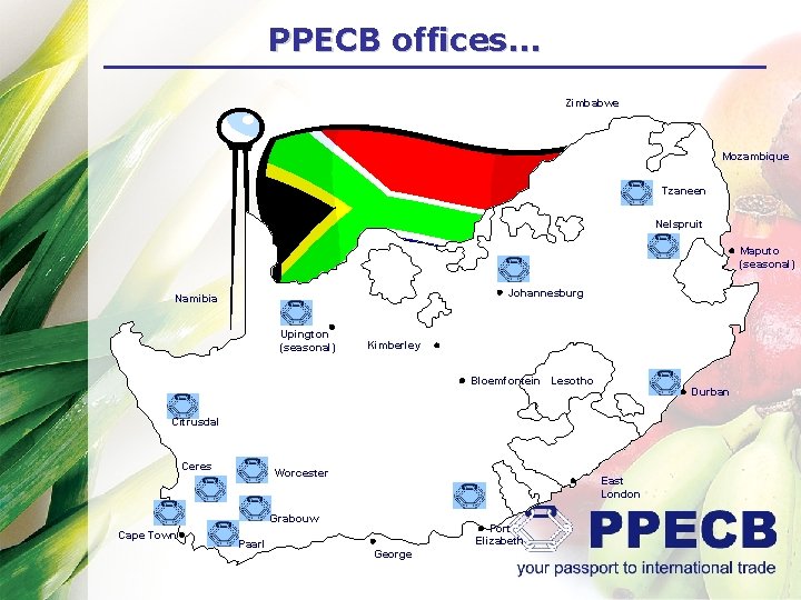 PPECB offices… Zimbabwe Mozambique Tzaneen Nelspruit h Maputo (seasonal) h Johannesburg Namibia h Upington