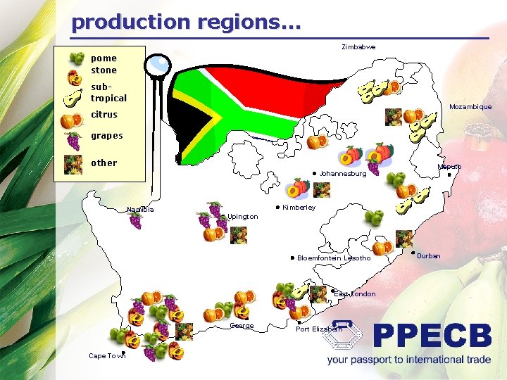 production regions… Zimbabwe pome stone subtropical Mozambique citrus grapes other h Johannesburg Namibia h