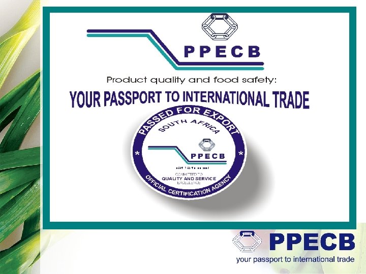 ppecb creating world-wide confidence in south african CERTIFIED TO ISO 9001 perishable export products ppecb creating world-wide confidence in south african CERTIFIED TO ISO 9001 perishable export products