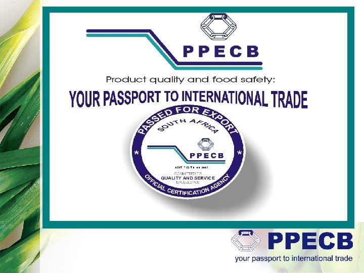 ppecb creating world-wide confidence in south african CERTIFIED TO ISO 9001 perishable export products