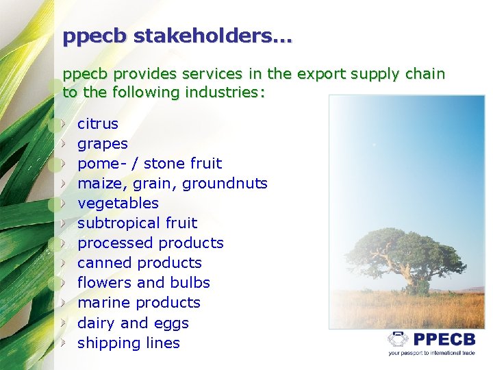 ppecb stakeholders. . . ppecb provides services in the export supply chain to the