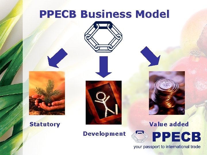 PPECB Business Model Statutory Value added Development 