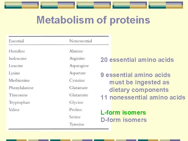 Metabolism of proteins 20 essential amino acids 9 essential amino acids must be ingested