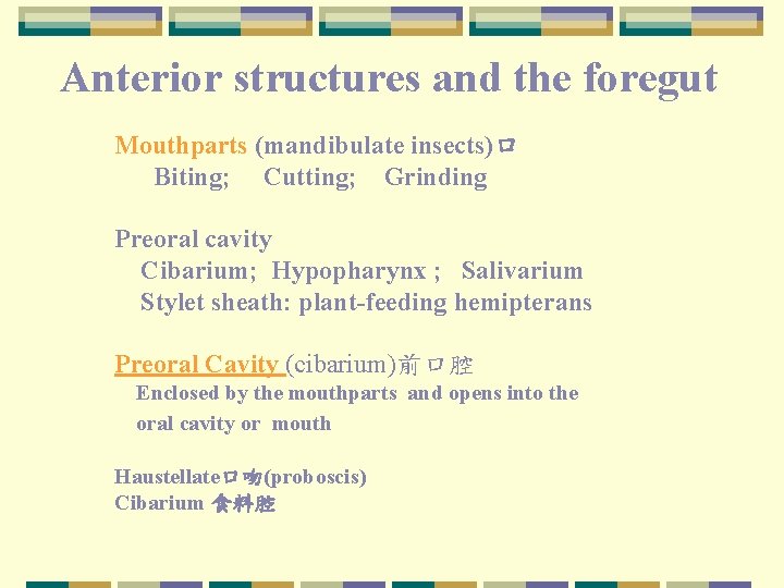 Anterior structures and the foregut Mouthparts (mandibulate insects)口 Biting; Cutting; Grinding Preoral cavity Cibarium;