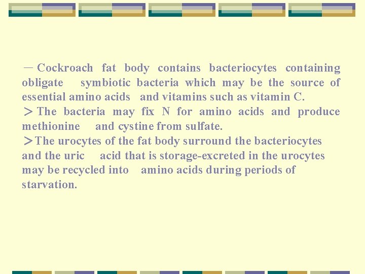 － Cockroach fat body contains bacteriocytes containing obligate symbiotic bacteria which may be the