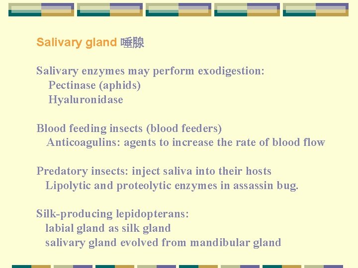 Salivary gland 唾腺 Salivary enzymes may perform exodigestion: Pectinase (aphids) Hyaluronidase Blood feeding insects