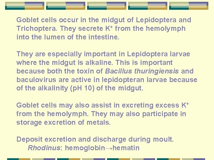 Goblet cells occur in the midgut of Lepidoptera and Trichoptera. They secrete K+ from