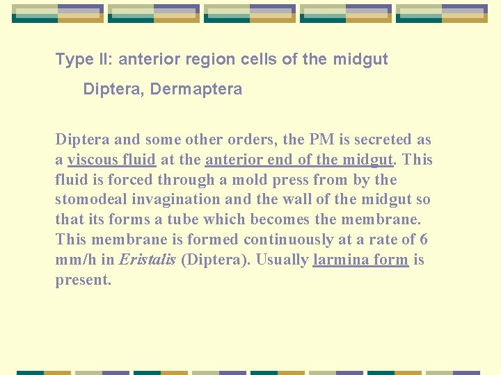 Type II: anterior region cells of the midgut Diptera, Dermaptera Diptera and some other