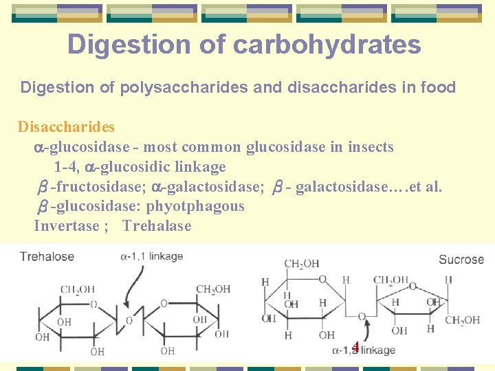 Digestion of carbohydrates Digestion of polysaccharides and disaccharides in food Disaccharides glucosidase most common