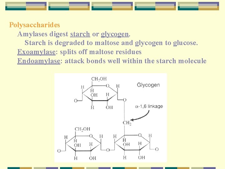 Polysaccharides Amylases digest starch or glycogen. Starch is degraded to maltose and glycogen to