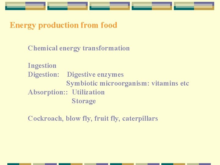 Energy production from food Chemical energy transformation Ingestion Digestion: Digestive enzymes Symbiotic microorganism: vitamins