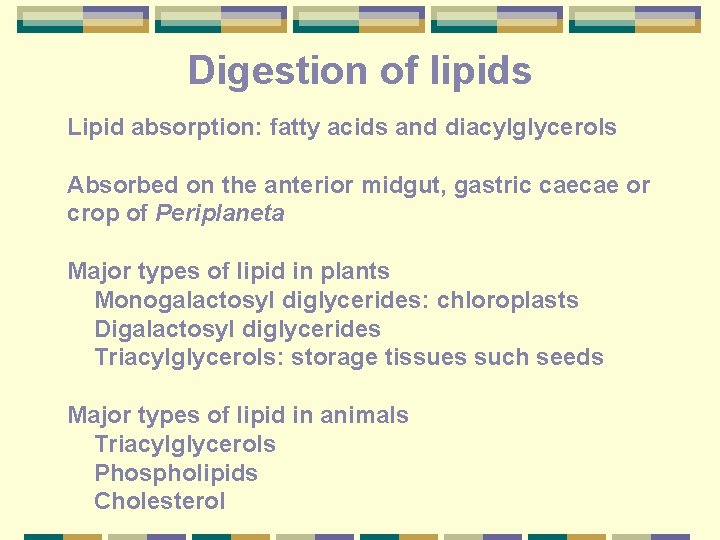 Digestion of lipids Lipid absorption: fatty acids and diacylglycerols Absorbed on the anterior midgut,