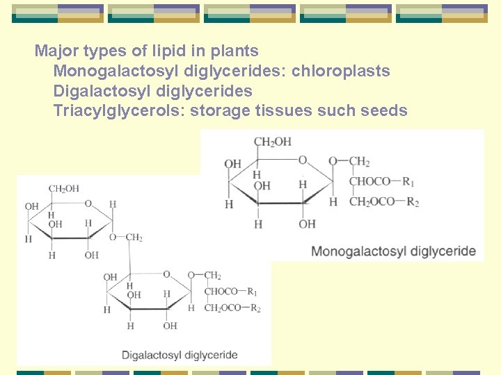 Major types of lipid in plants Monogalactosyl diglycerides: chloroplasts Digalactosyl diglycerides Triacylglycerols: storage tissues