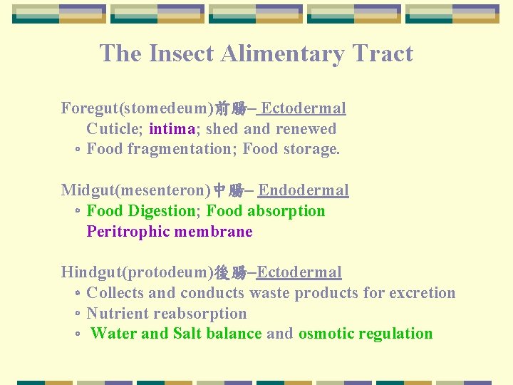 The Insect Alimentary Tract Foregut(stomedeum)前腸– Ectodermal Cuticle; intima; shed and renewed 。Food fragmentation; Food