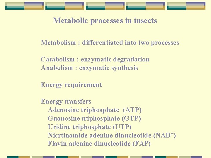 Metabolic processes in insects Metabolism : differentiated into two processes Catabolism : enzymatic degradation