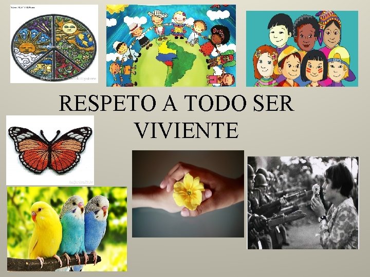 RESPETO A TODO SER VIVIENTE 