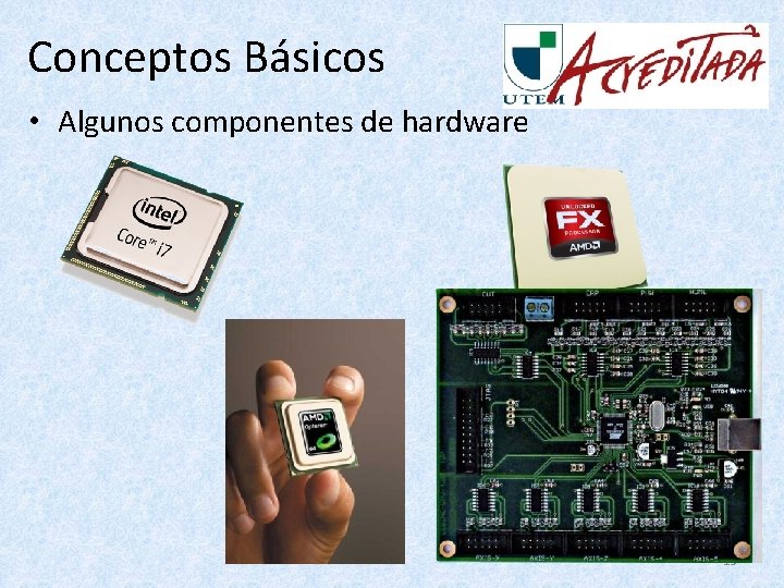 Conceptos Básicos • Algunos componentes de hardware 13 