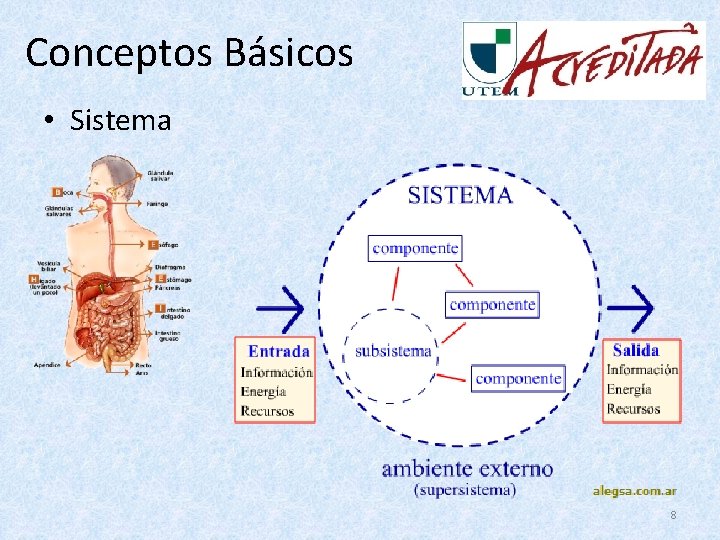 Conceptos Básicos • Sistema 8 