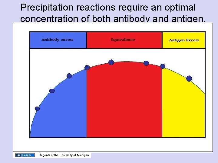 Precipitation reactions require an optimal concentration of both antibody and antigen. Regents of the