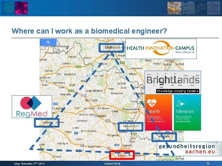 Where can I work as a biomedical engineer? Liège, November 17 th, 2014 Liesbet