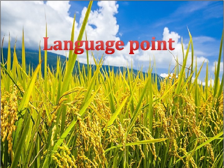 Language point 