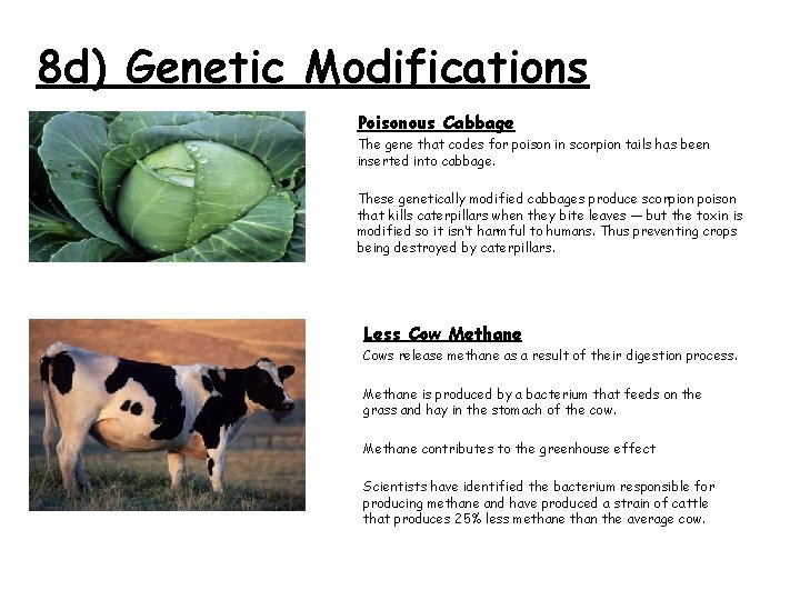 8 d) Genetic Modifications Poisonous Cabbage The gene that codes for poison in scorpion