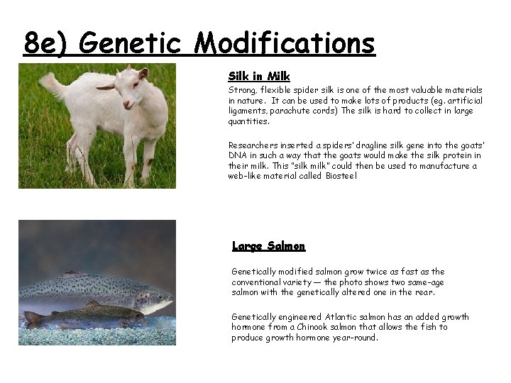 8 e) Genetic Modifications Silk in Milk Strong, flexible spider silk is one of
