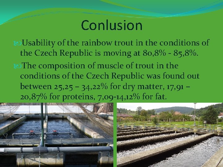 Conlusion Usability of the rainbow trout in the conditions of the Czech Republic is