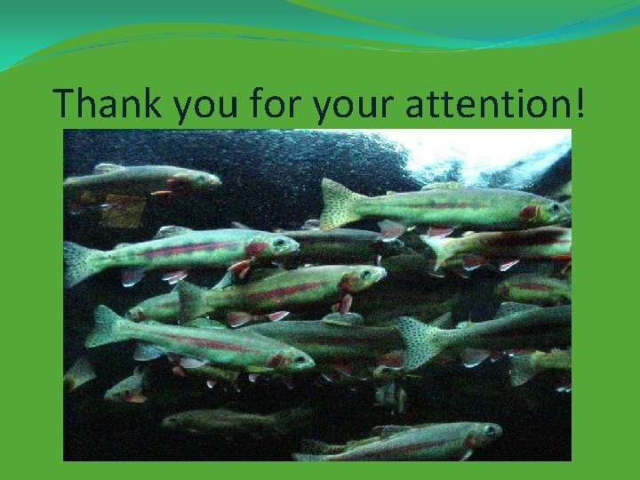 Thank you for your attention! 