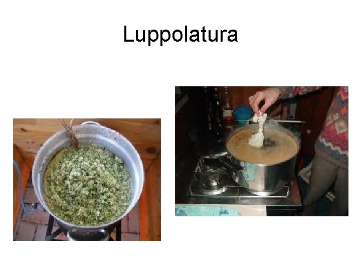 Luppolatura 