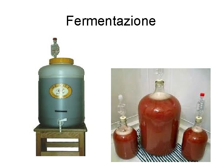 Fermentazione 