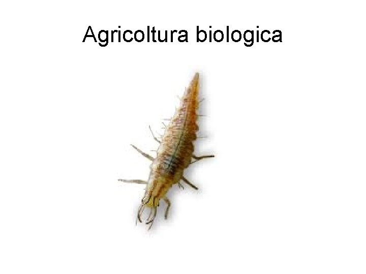 Agricoltura biologica 
