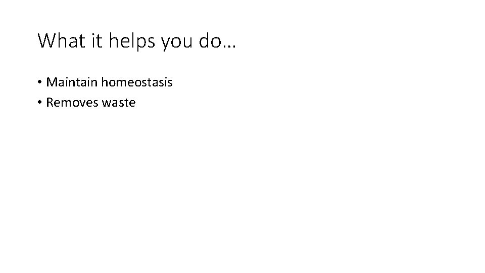 What it helps you do… • Maintain homeostasis • Removes waste 