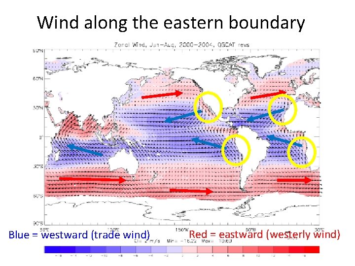 Wind along the eastern boundary Blue = westward (trade wind) Red = eastward (westerly