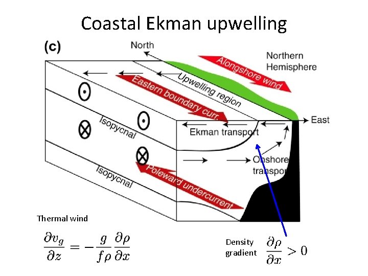 Coastal Ekman upwelling Thermal wind Density gradient 