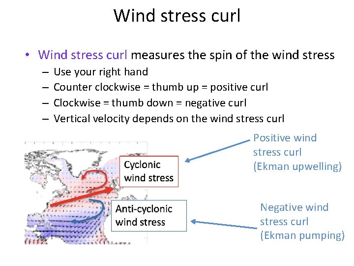 Wind stress curl • Wind stress curl measures the spin of the wind stress