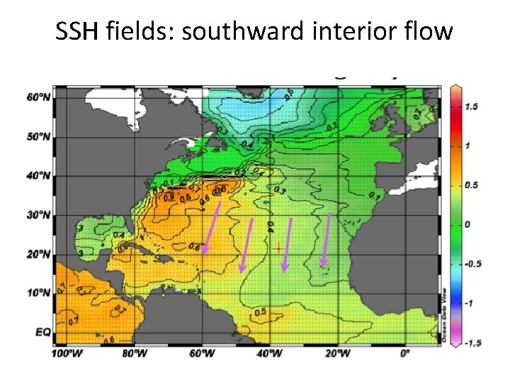 SSH fields: southward interior flow 