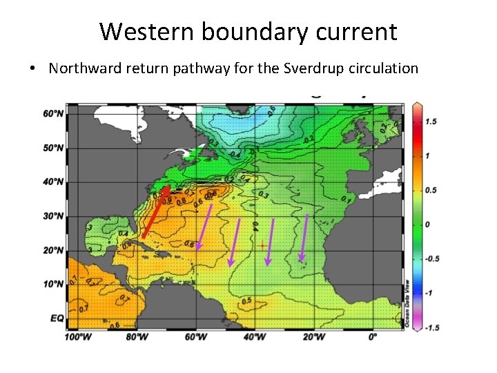 Western boundary current • Northward return pathway for the Sverdrup circulation 