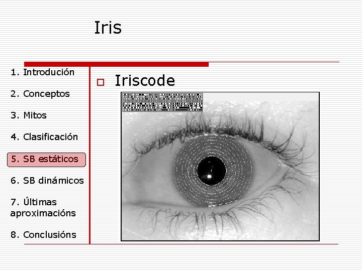 Iris 1. Introdución 2. Conceptos 3. Mitos 4. Clasificación 5. SB estáticos 6. SB