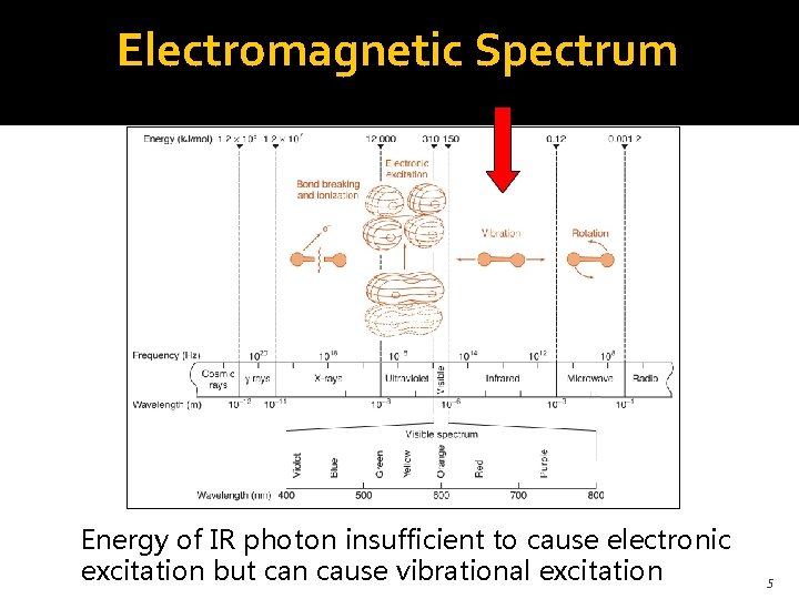 Electromagnetic Spectrum Energy of IR photon insufficient to cause electronic excitation but can cause