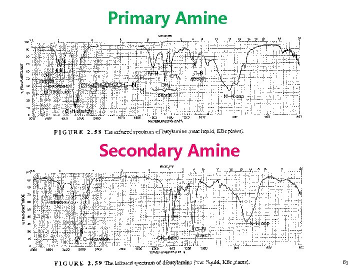 Primary Amine Secondary Amine 83 