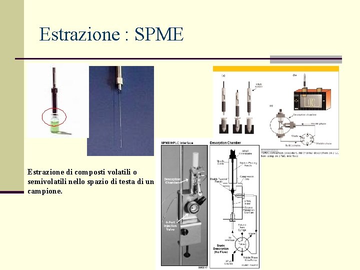 Estrazione : SPME Estrazione di composti volatili o semivolatili nello spazio di testa di