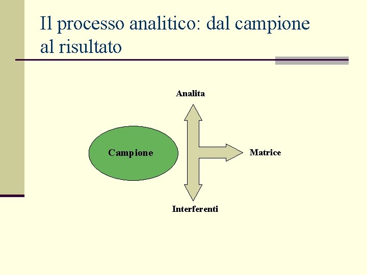 Il processo analitico: dal campione al risultato Analita Campione Matrice Interferenti 